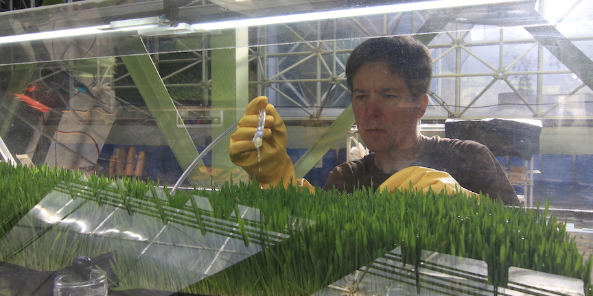 SIMOC at Biosphere 2 - Kai watering barley, by Kai Staats